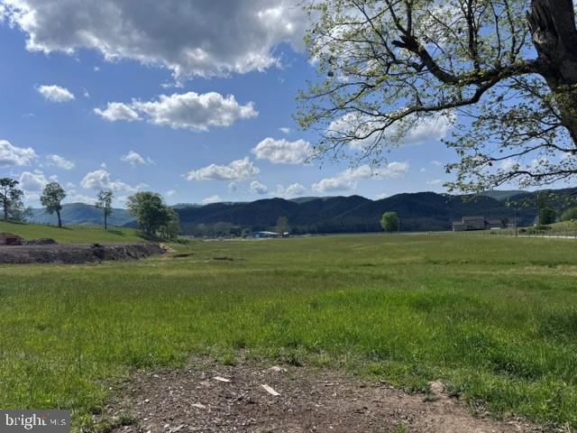 Tbd Shaffers Run Road Mill Creek, WV 26280 - Photo 24 of 43