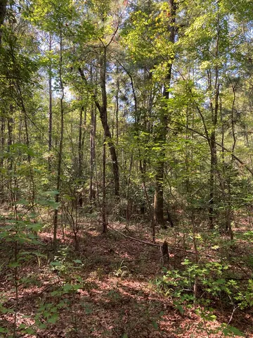 $88,000 | 0 Firetower Road, Cusseta, GA 31805