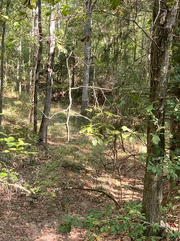 $88,000 | 0 Firetower Road, Cusseta, GA 31805