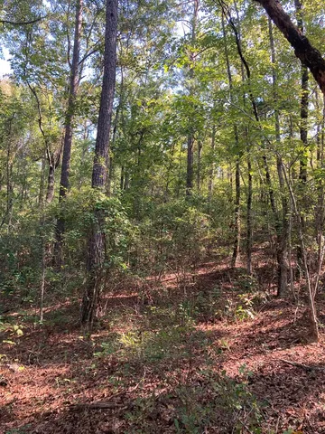 $88,000 | 0 Firetower Road, Cusseta, GA 31805