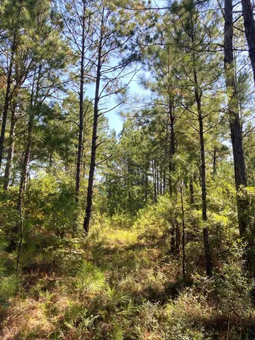 $88,000 | 0 Firetower Road, Cusseta, GA 31805