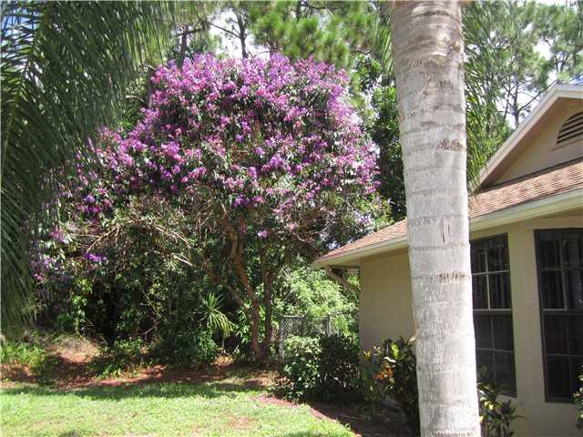 1519 Southwest Apricot Road Port St. Lucie, FL 34953 - Photo 25 of 25 Gallery Image 25