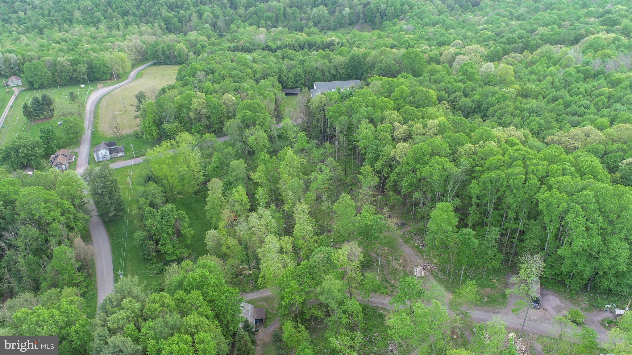 Greengables Road Friendsville, MD 21531 - Photo 17 of 18 a view of a forest with a street
