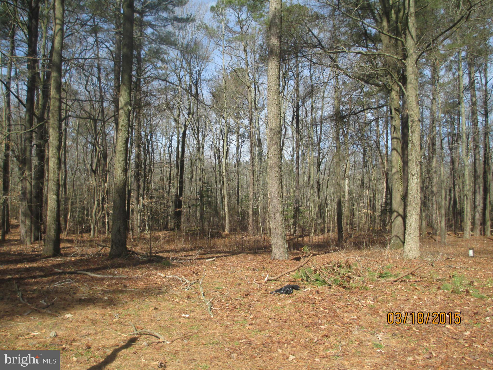 11330 Holly Road Ridgely, MD 21660 - Photo 7 of 8 View