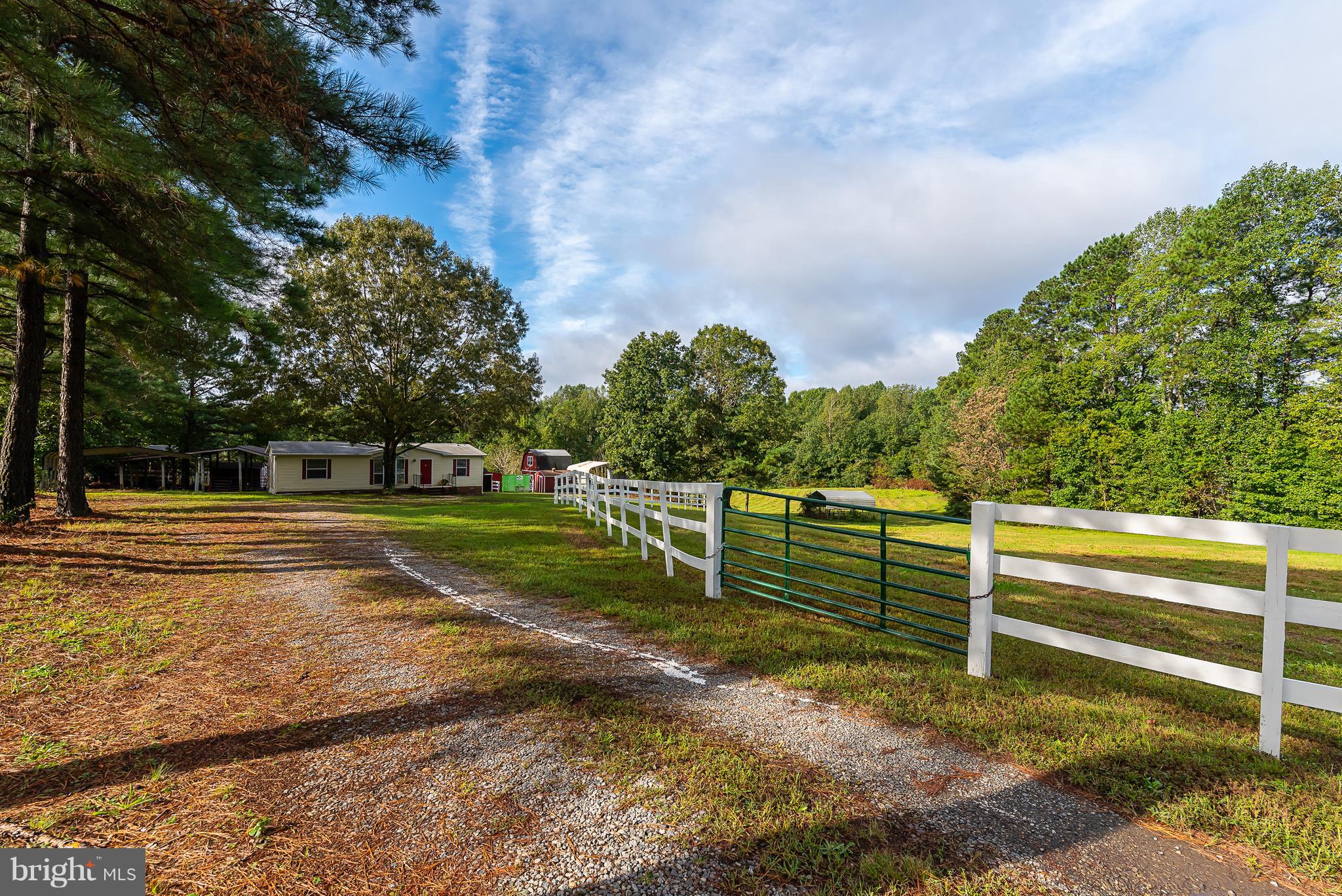 10000 Edenton Road Partlow, VA 22534 - Photo 30 of 30 a view of a park with large trees