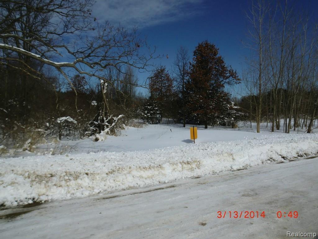 0 West Lone Tree Road Highland, MI 48357 - Photo 2 of 3 Lone Tree Front Left.jpg