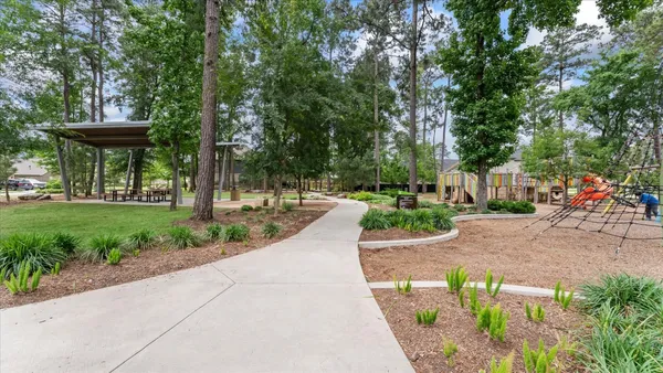 a view of a park with plants and trees