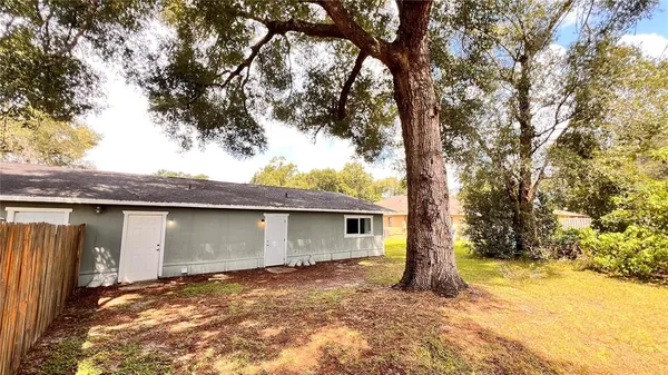 a view of a yard with trees