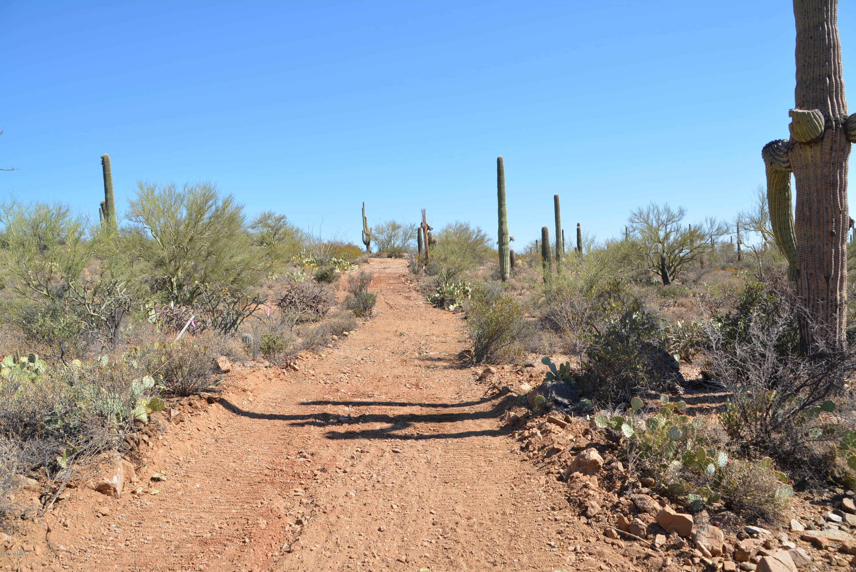 0 Broken Spring Tucson, AZ 85745 - Photo 4 of 24