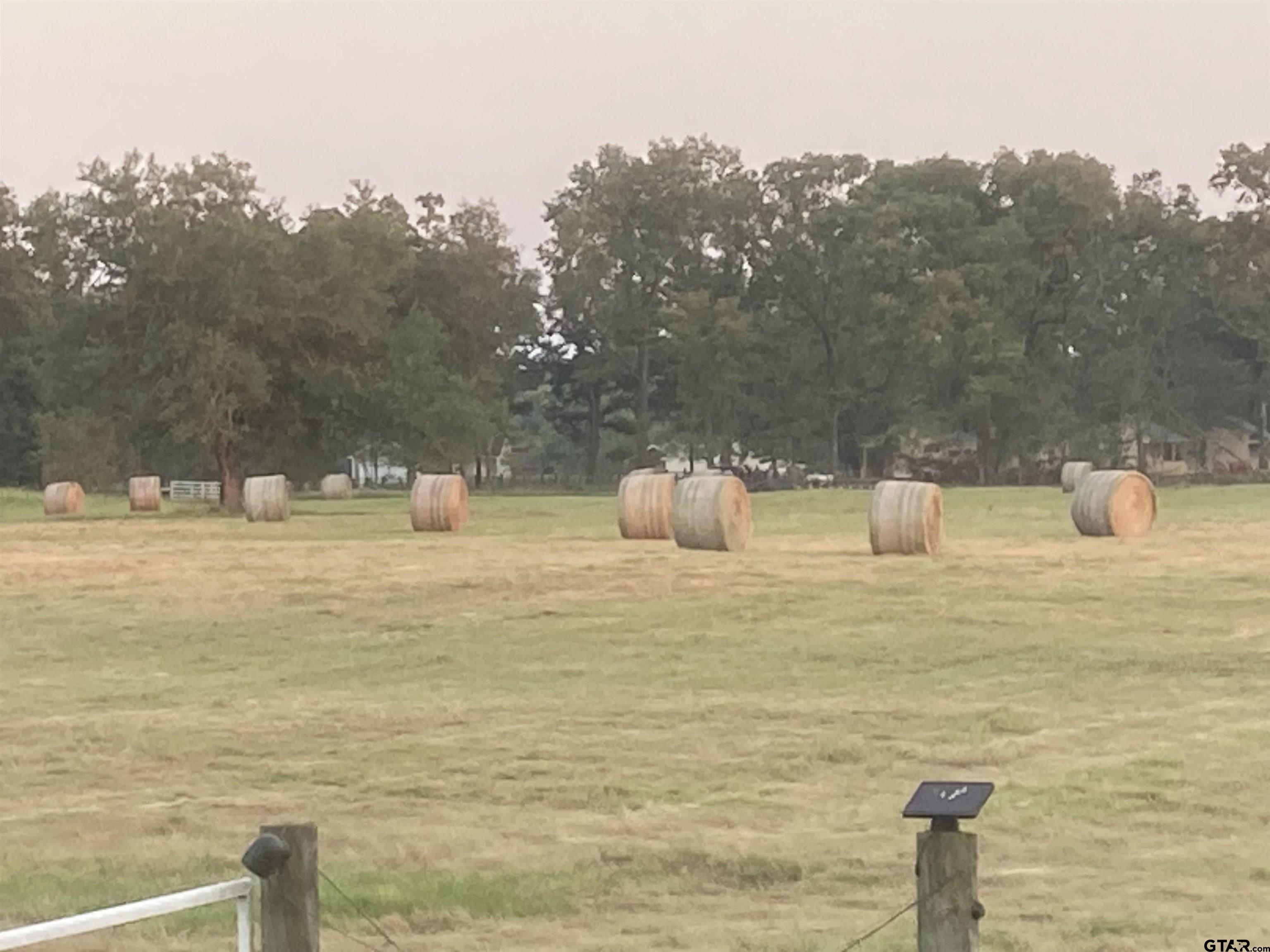 520 County Rd SE 4385 Scroggins, TX 75480 - Photo 46 of 48