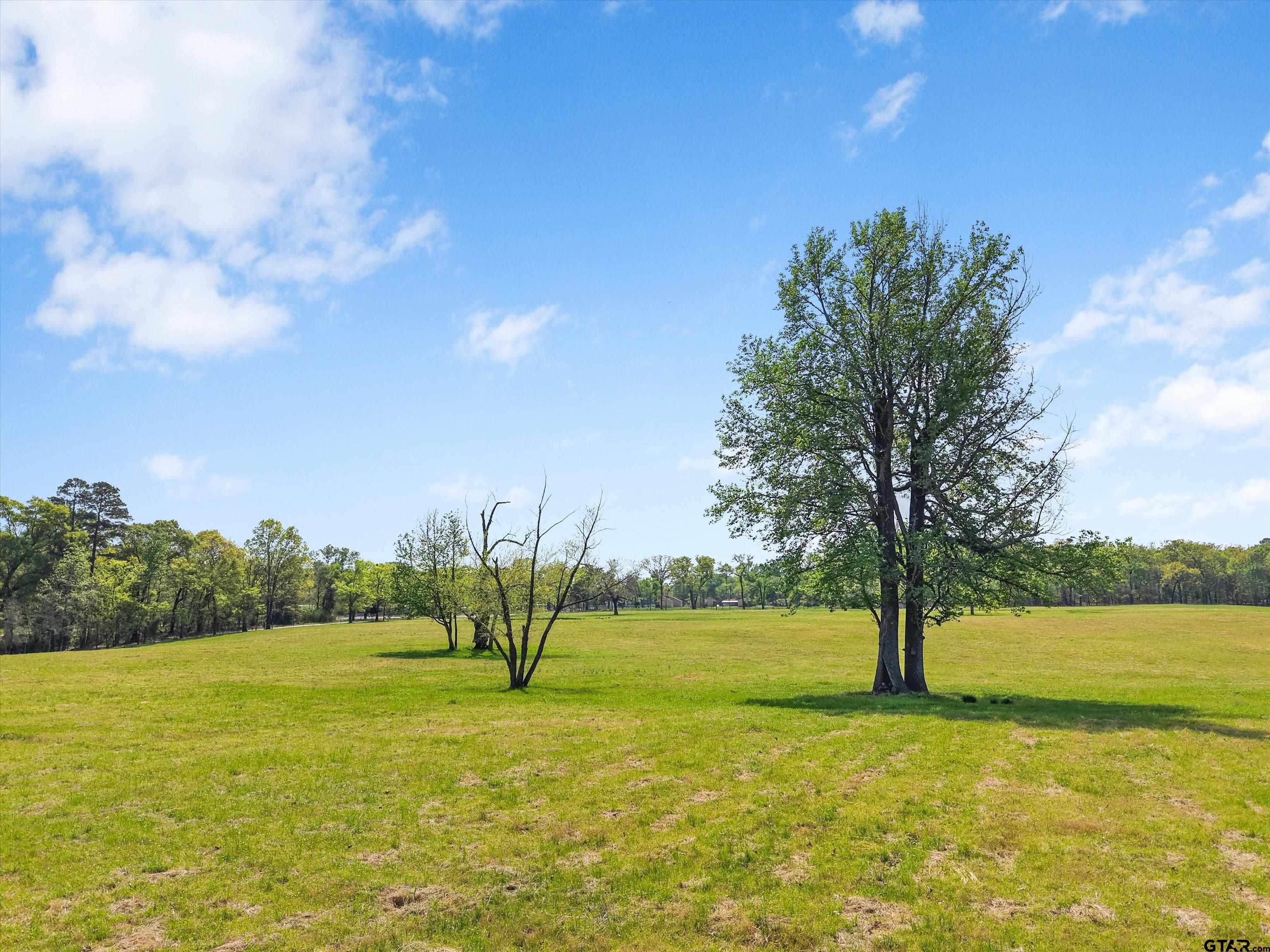 520 County Rd SE 4385 Scroggins, TX 75480 - Photo 10 of 48