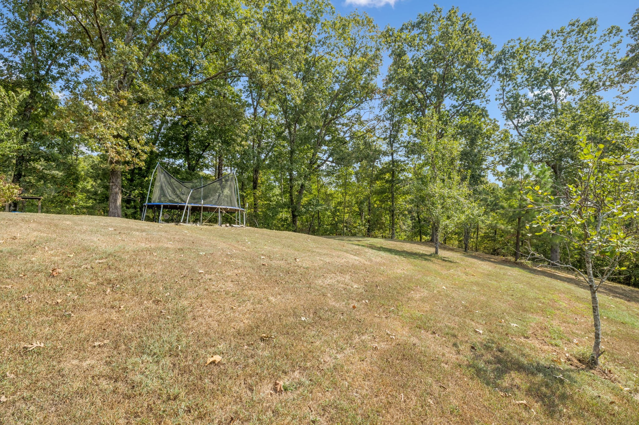 2151 Bakerville Road Waverly, TN 37185 - Photo 53 of 67 a view of a field with trees in the background