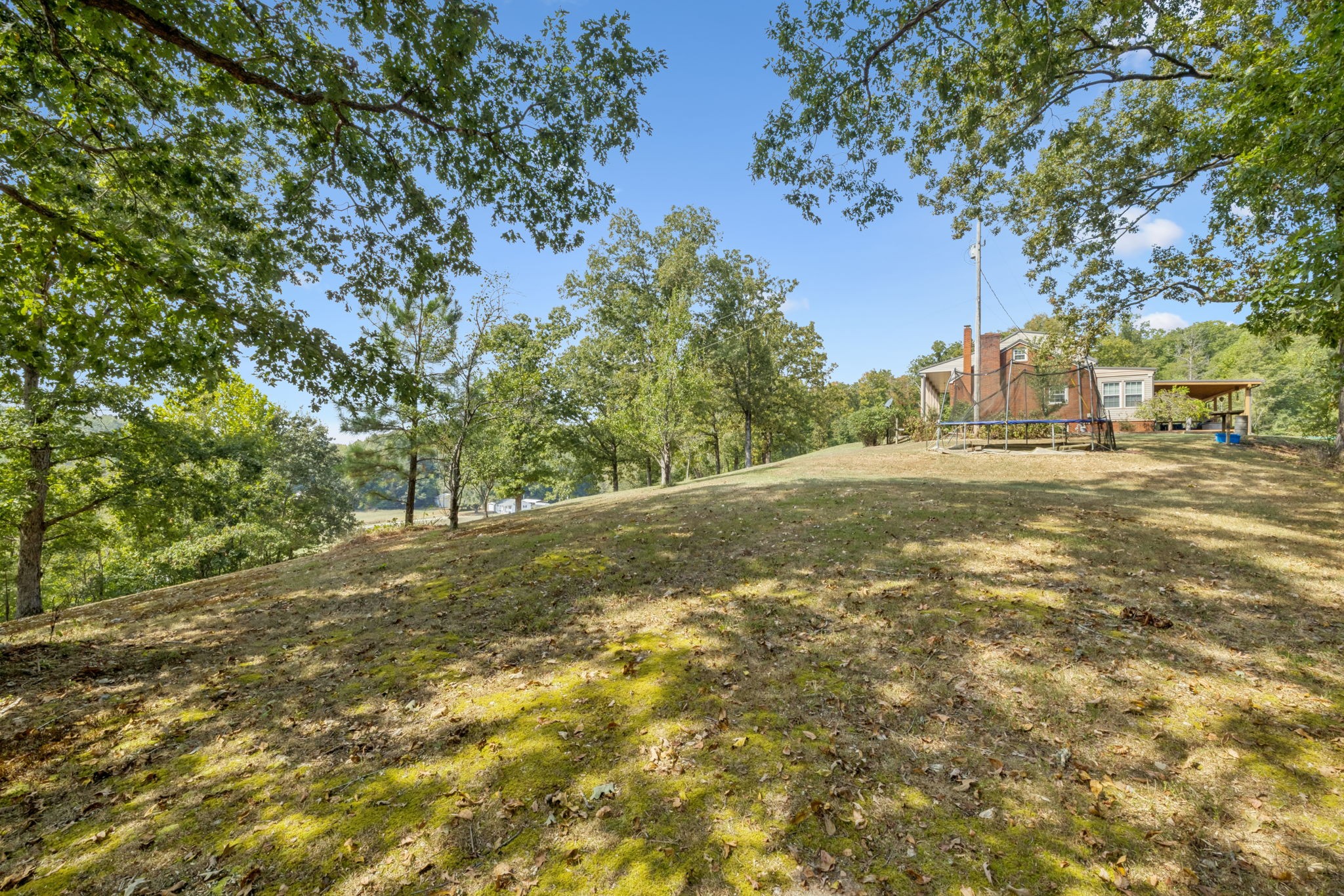 2151 Bakerville Road Waverly, TN 37185 - Photo 54 of 67 a view of a yard with a tree