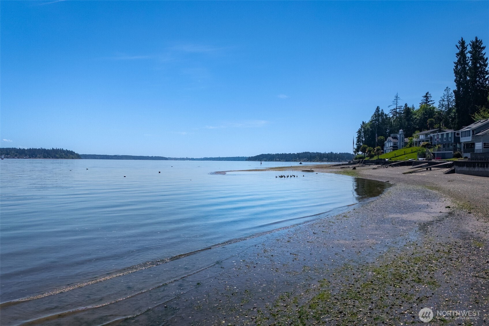 9230 B Hunter Point Road Northwest Olympia, WA 98502 - Photo 4 of 39