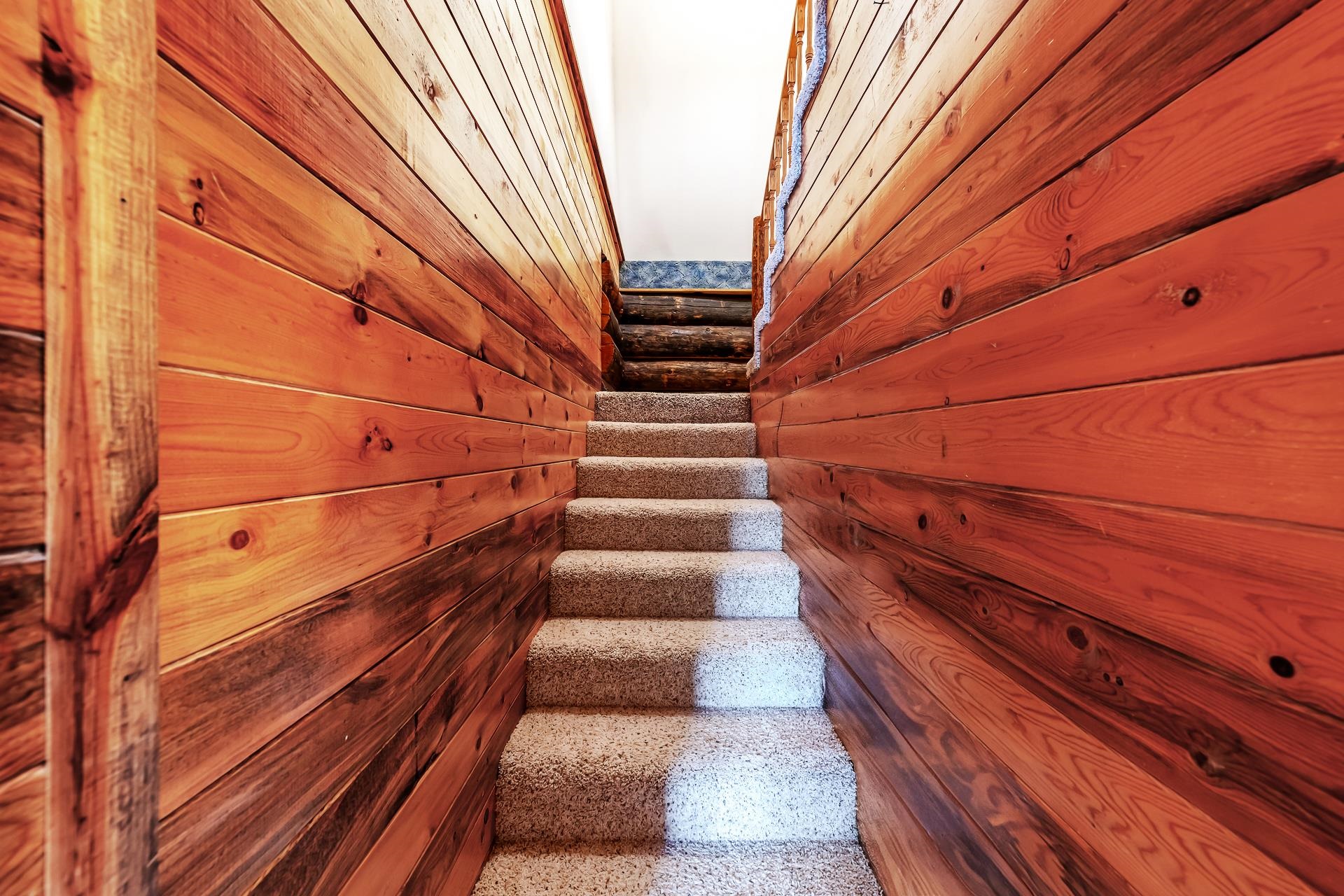 6194 County Road 320 Rifle, CO 81650 - Photo 36 of 42 a view of entryway