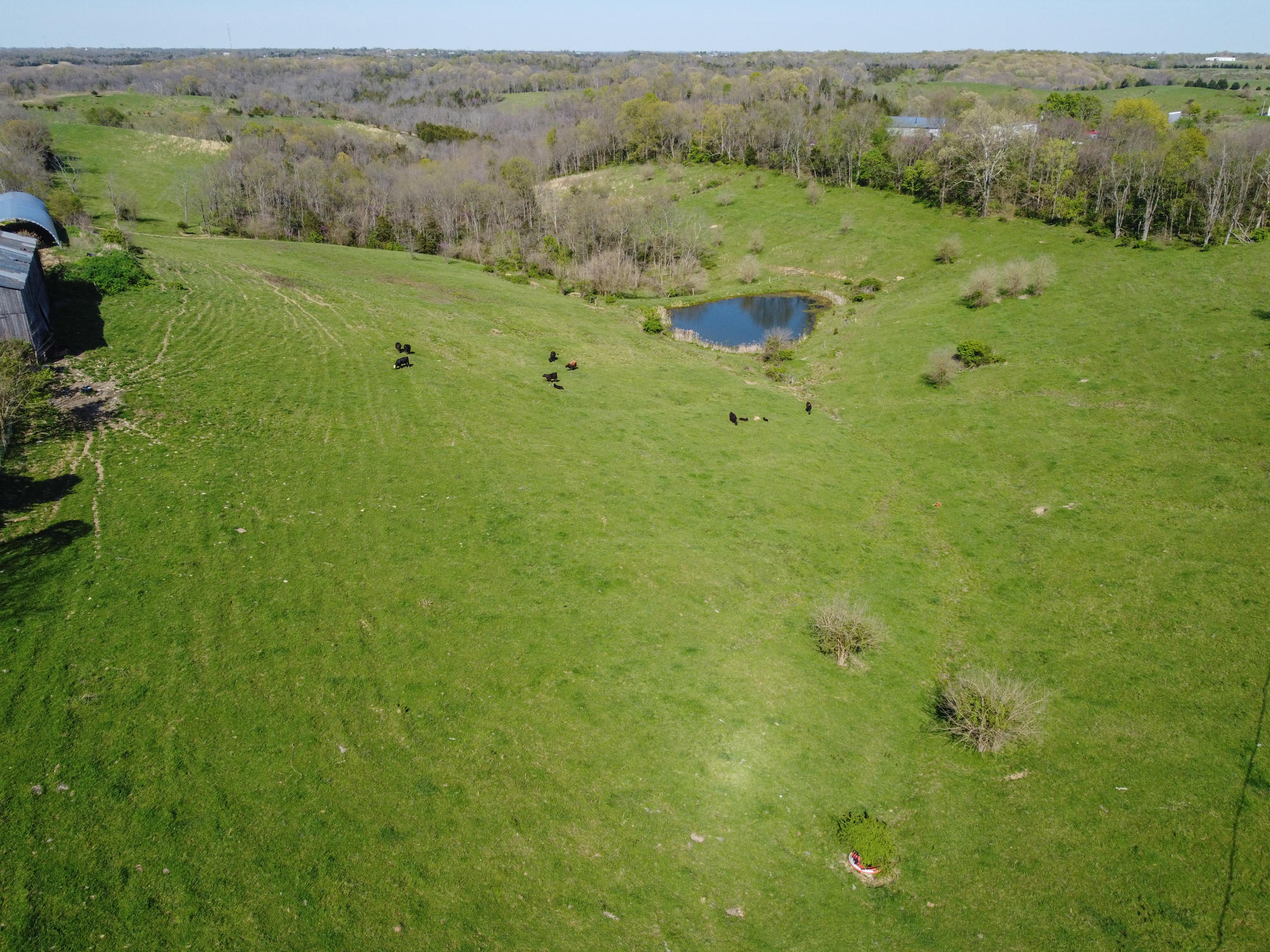 214-acres Keefer Road Corinth, KY 41010 - Photo 16 of 39 Keefer-16