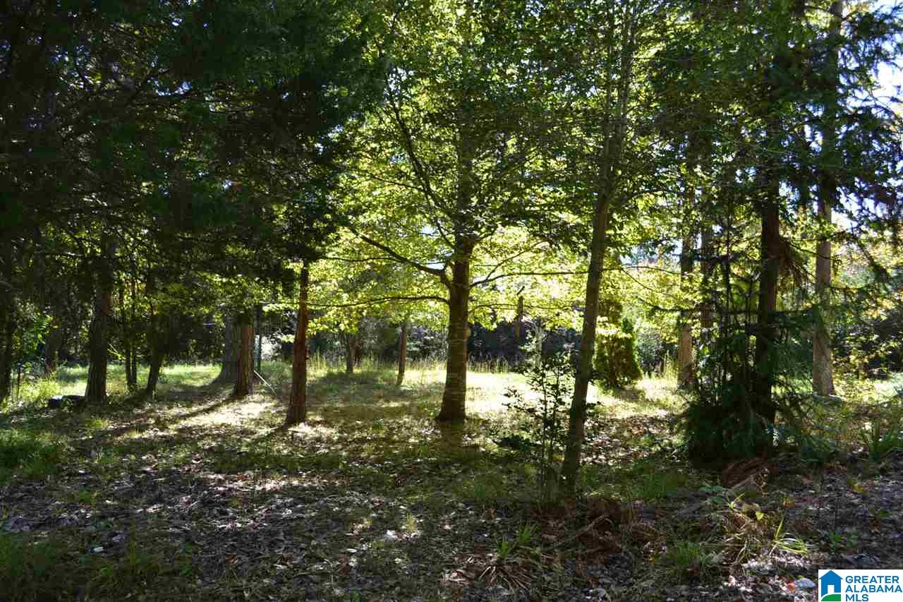 17871 Highway 75, Unit 5 7 ACRES Remlap, AL 35133 - Photo 2 of 23