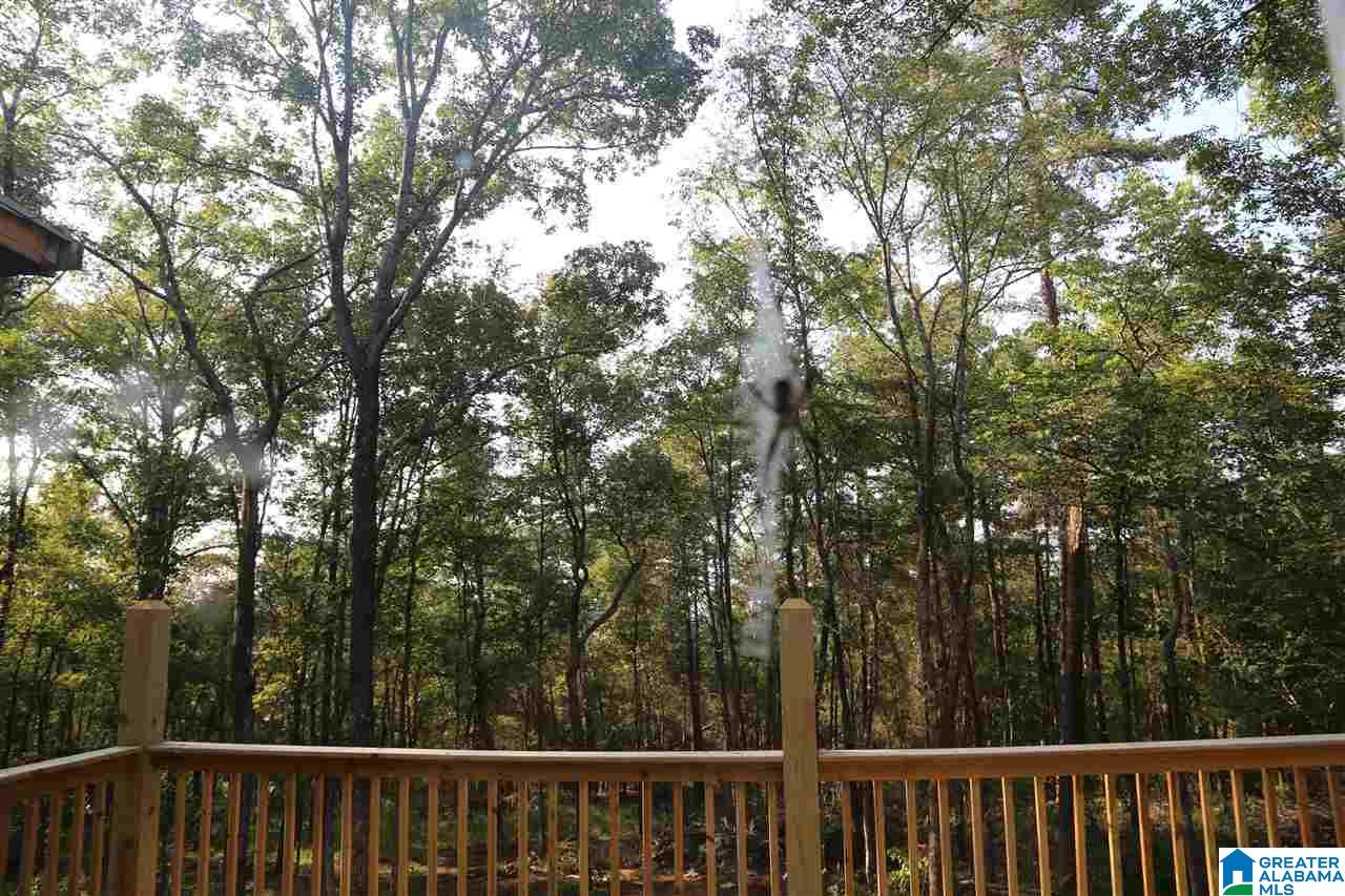431 Palisades Park Road Oneonta, AL 35121 - Photo 13 of 20