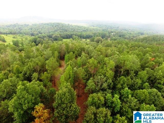 22-acres Clairmont Springs Road, Unit 22 ACRES Lineville, AL 36266 - Photo 5 of 16