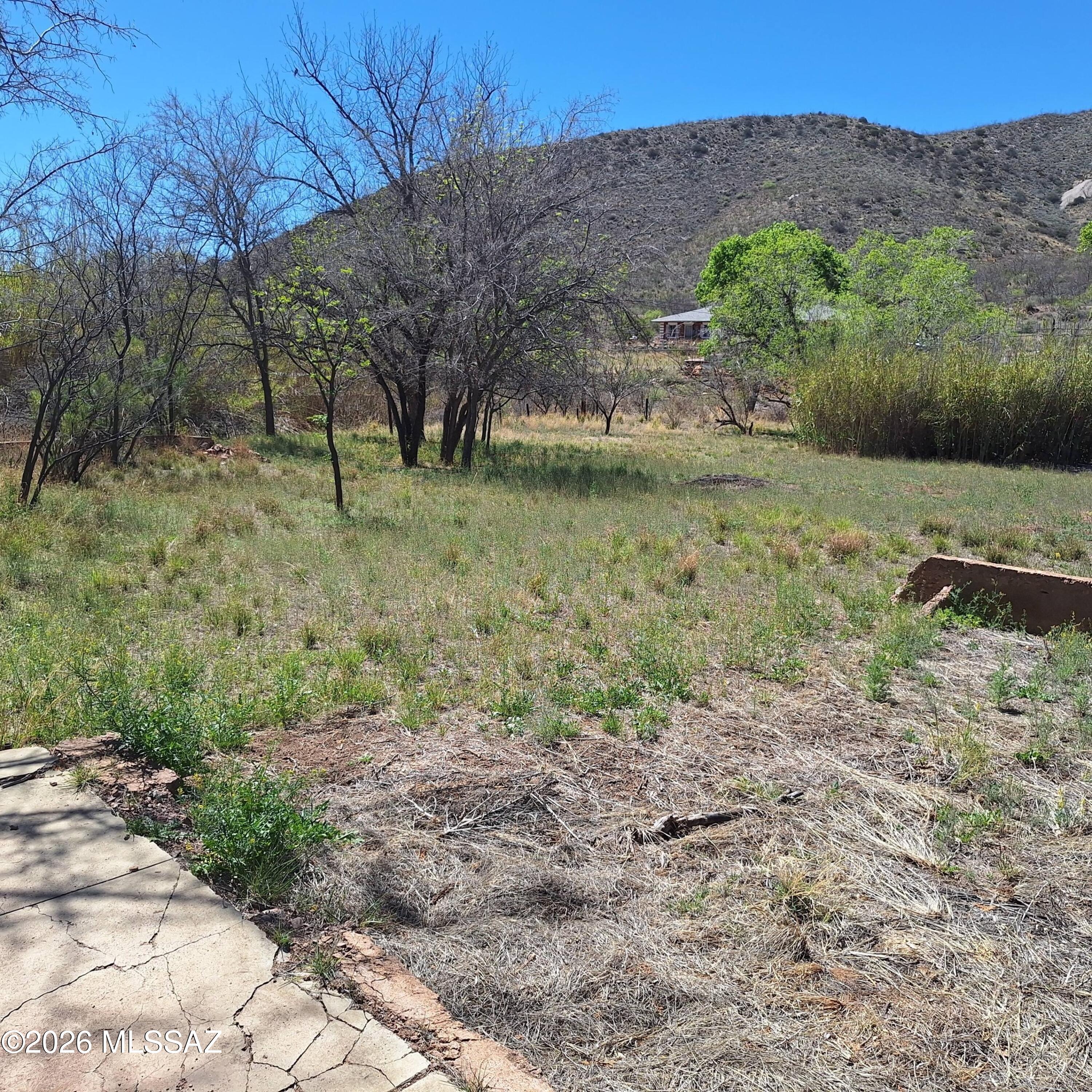 3 Arizona Street Bisbee, AZ 85603 - Photo 5 of 13 a view of backyard with green space
