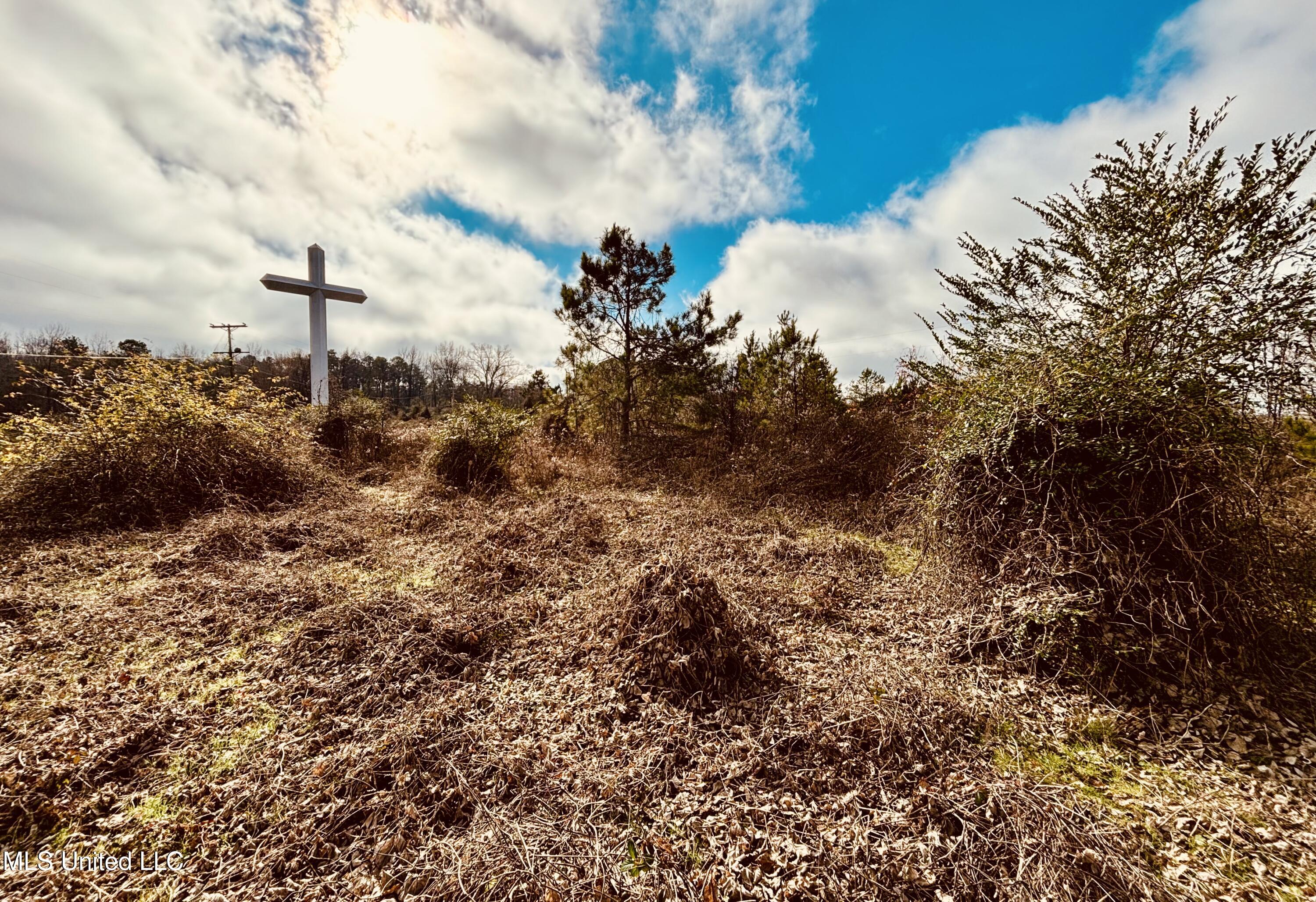 Southeast Frontage Road Winona, MS 38967 - Photo 4 of 15 IMG_0058