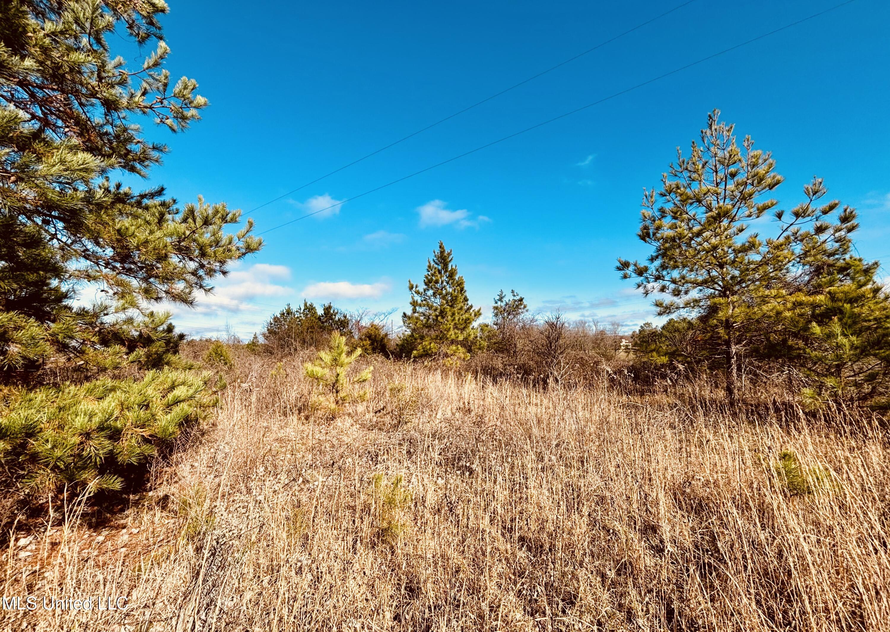 Southeast Frontage Road Winona, MS 38967 - Photo 6 of 15 IMG_0082