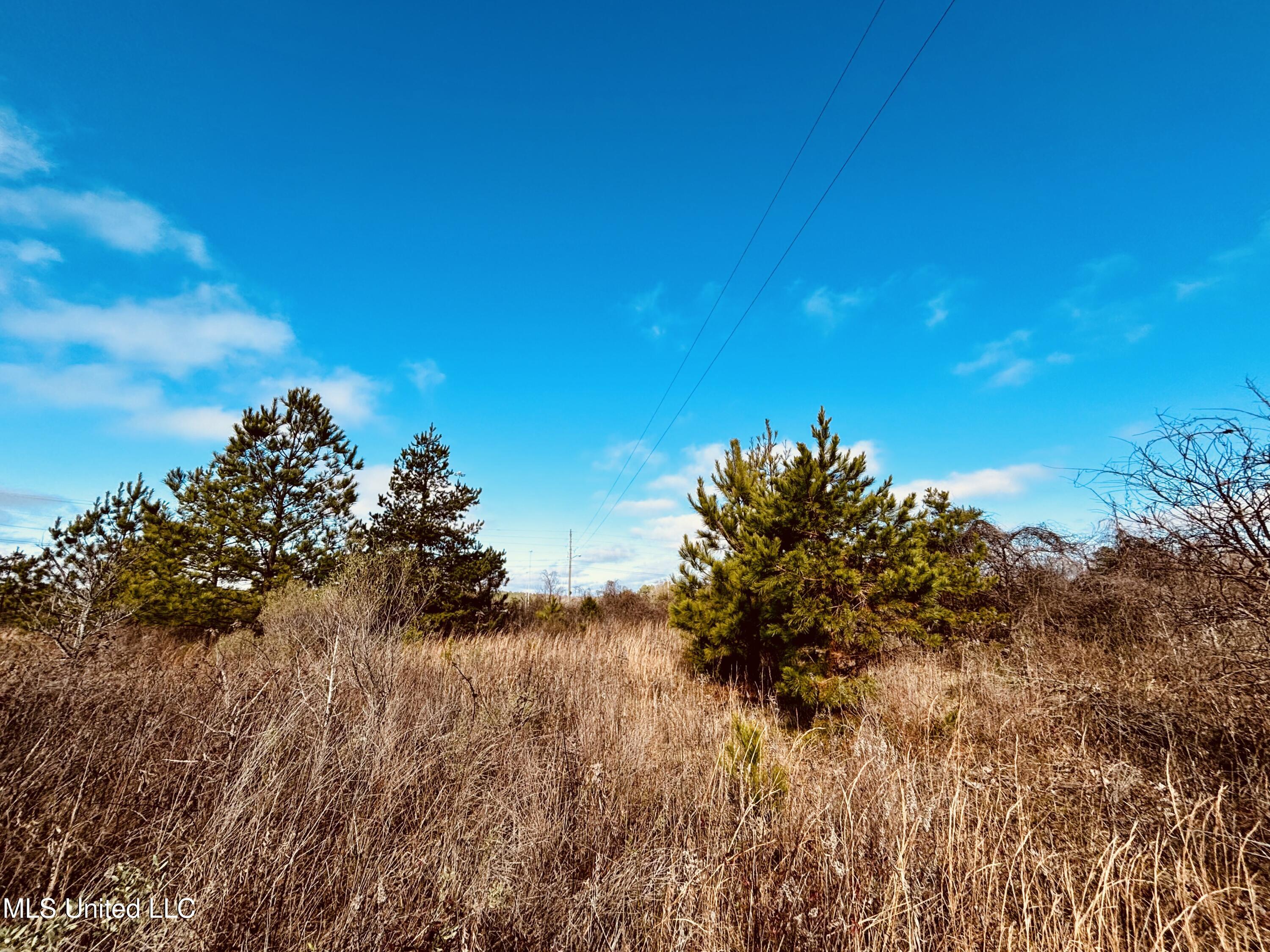 Southeast Frontage Road Winona, MS 38967 - Photo 8 of 15 IMG_0074