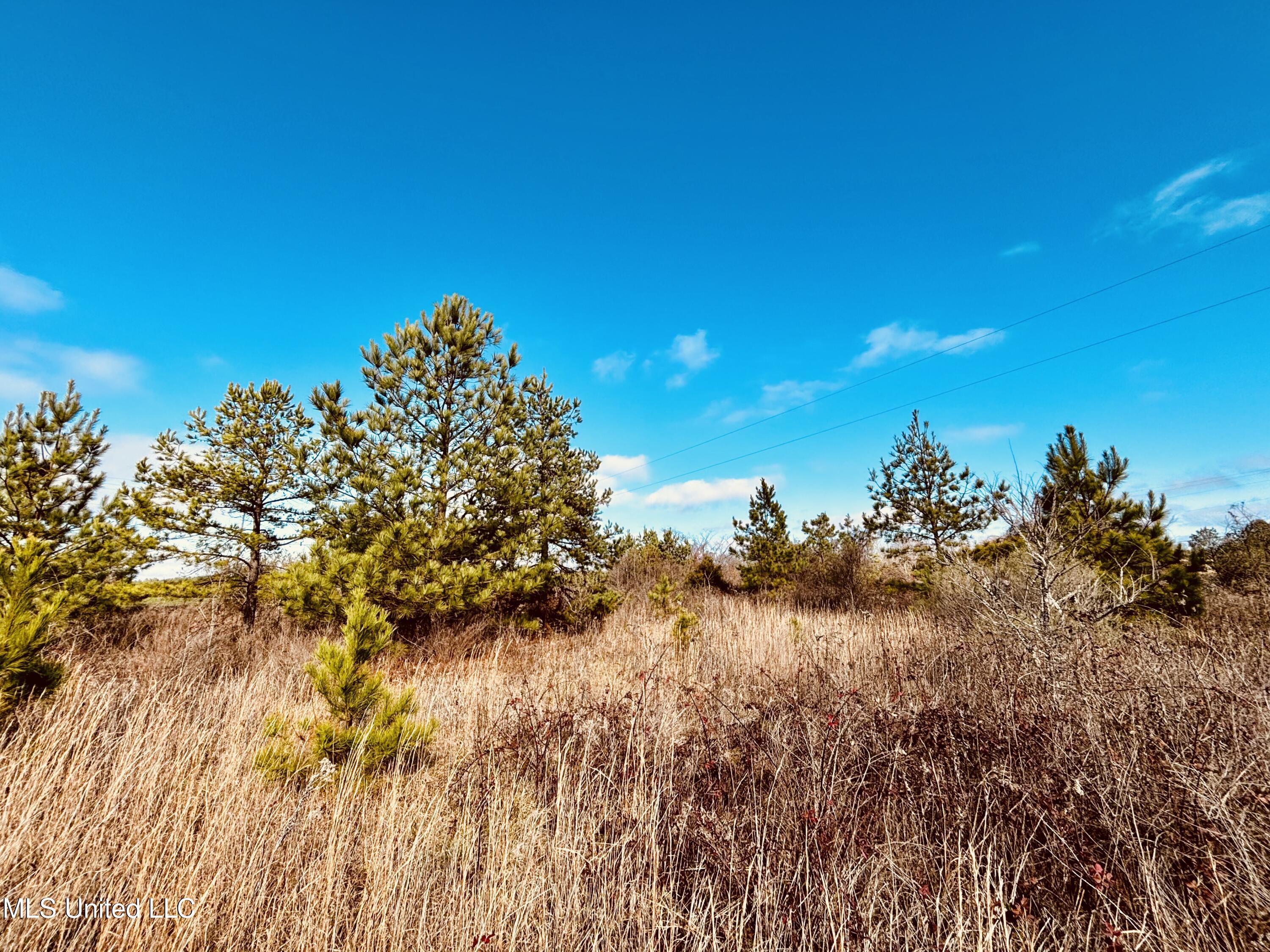 Southeast Frontage Road Winona, MS 38967 - Photo 9 of 15 IMG_0077