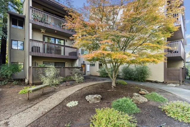 a view of a brick building with many windows