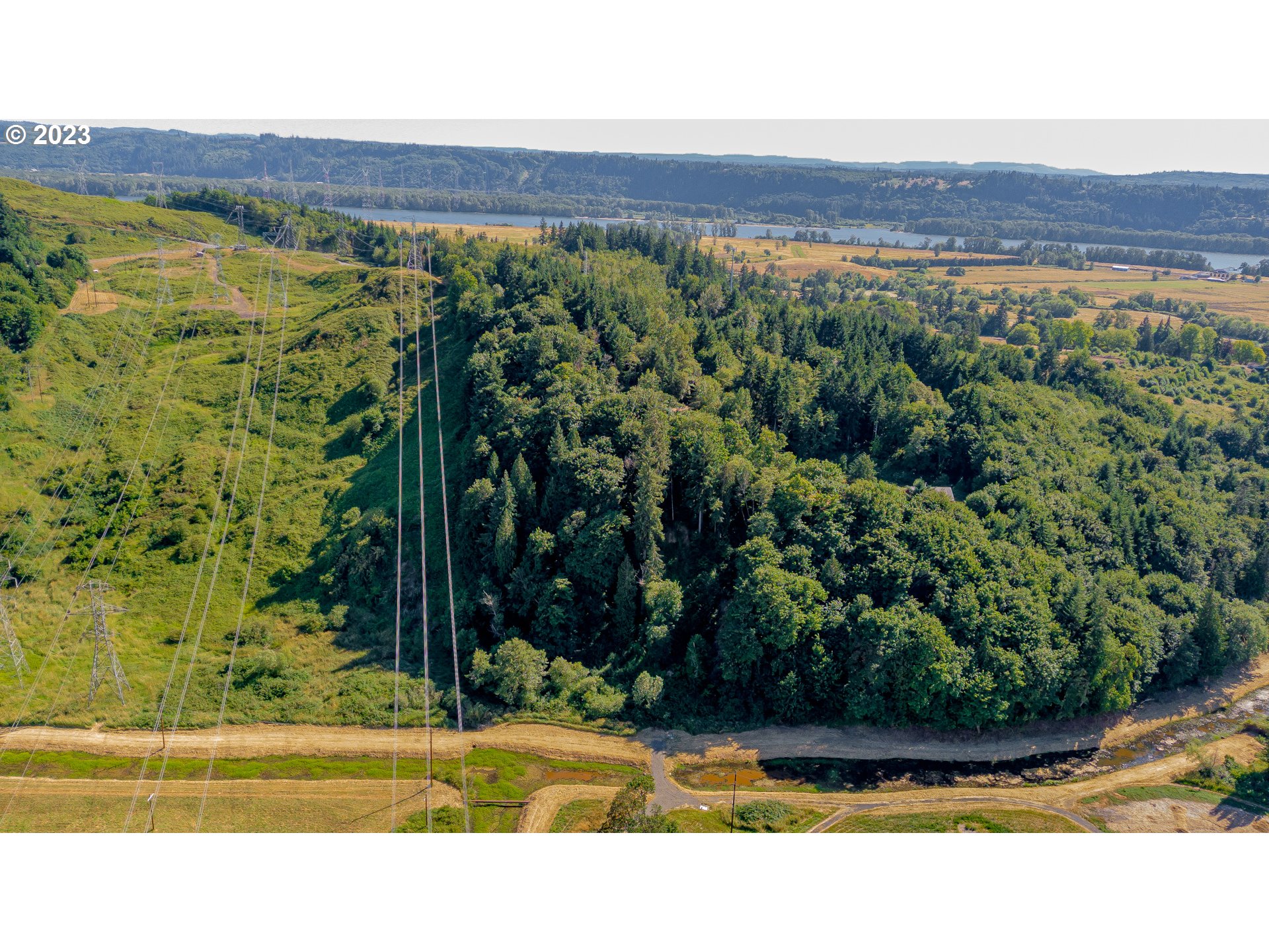 161 Ridgecrest Drive Longview, WA 98632 - Photo 3 of 8 a view of a backyard of a house