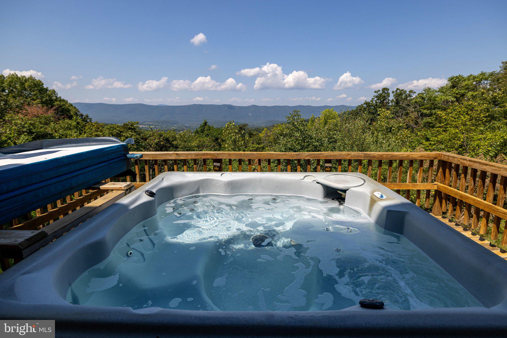 631 Overlook Drive Rileyville, VA 22650 - Photo 4 of 52 Gallery Image 4