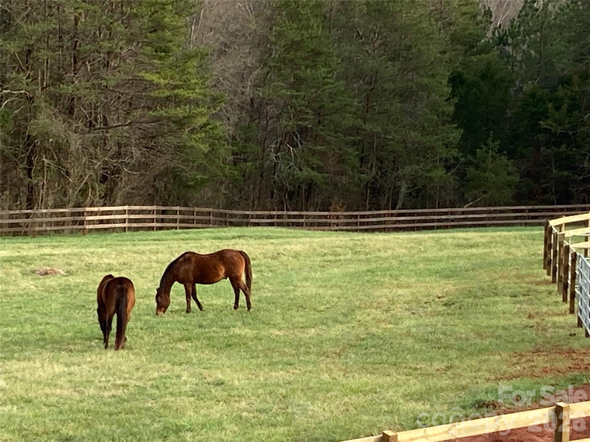 398 David Sims Road Rutherfordton, NC 28139 - Photo 45 of 48 a view of a yard