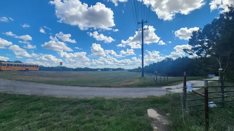 a view of a yard with an tree