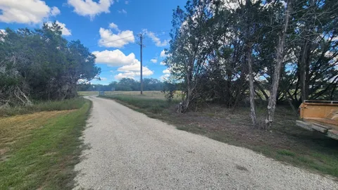 a view of a yard with a large tree
