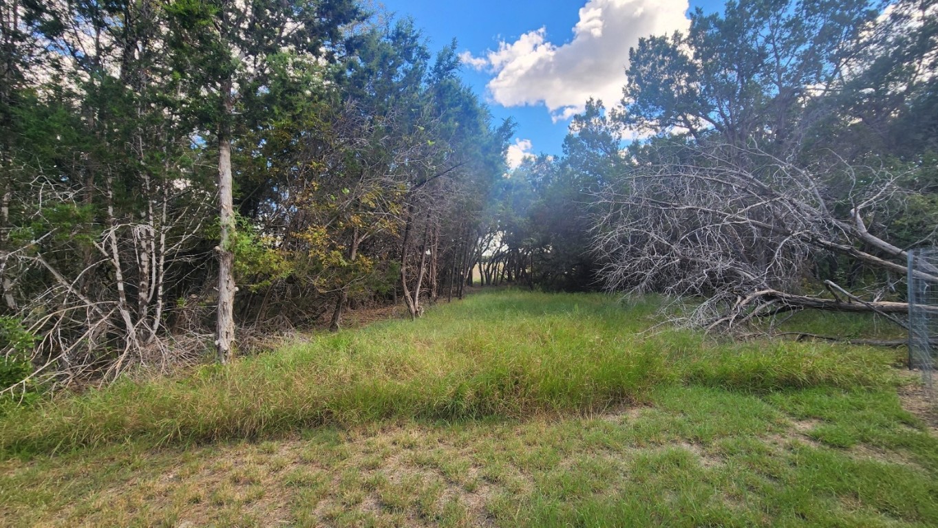 25615 Ronald Reagan Boulevard Georgetown, TX 78633 - Photo 18 of 25 a view of a yard