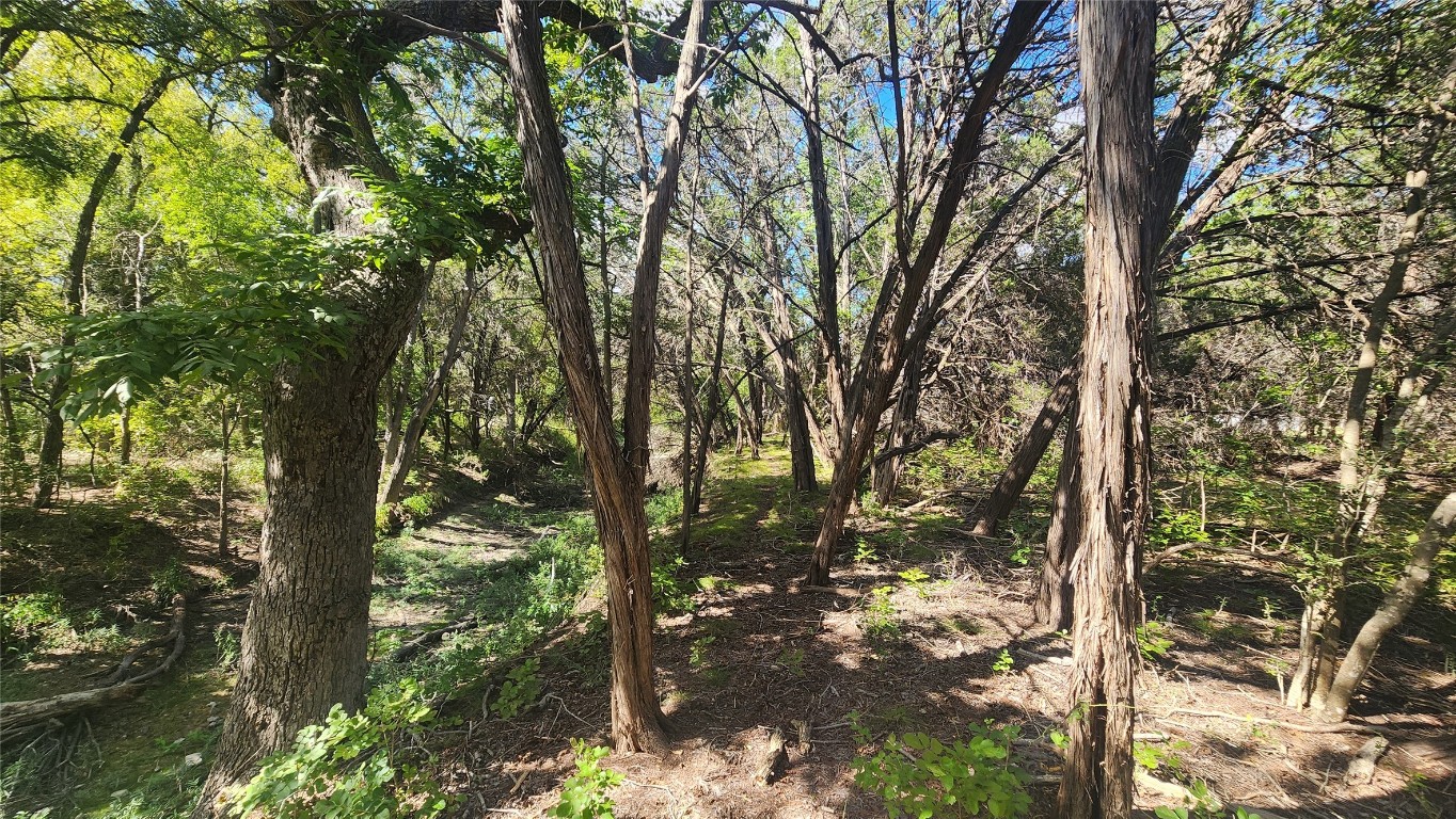 25615 Ronald Reagan Boulevard Georgetown, TX 78633 - Photo 21 of 25 a backyard of a house with lots of green space
