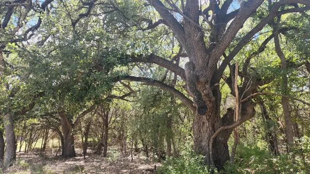 $700,000 | 25615 Ronald Reagan Boulevard, Georgetown, TX 78633