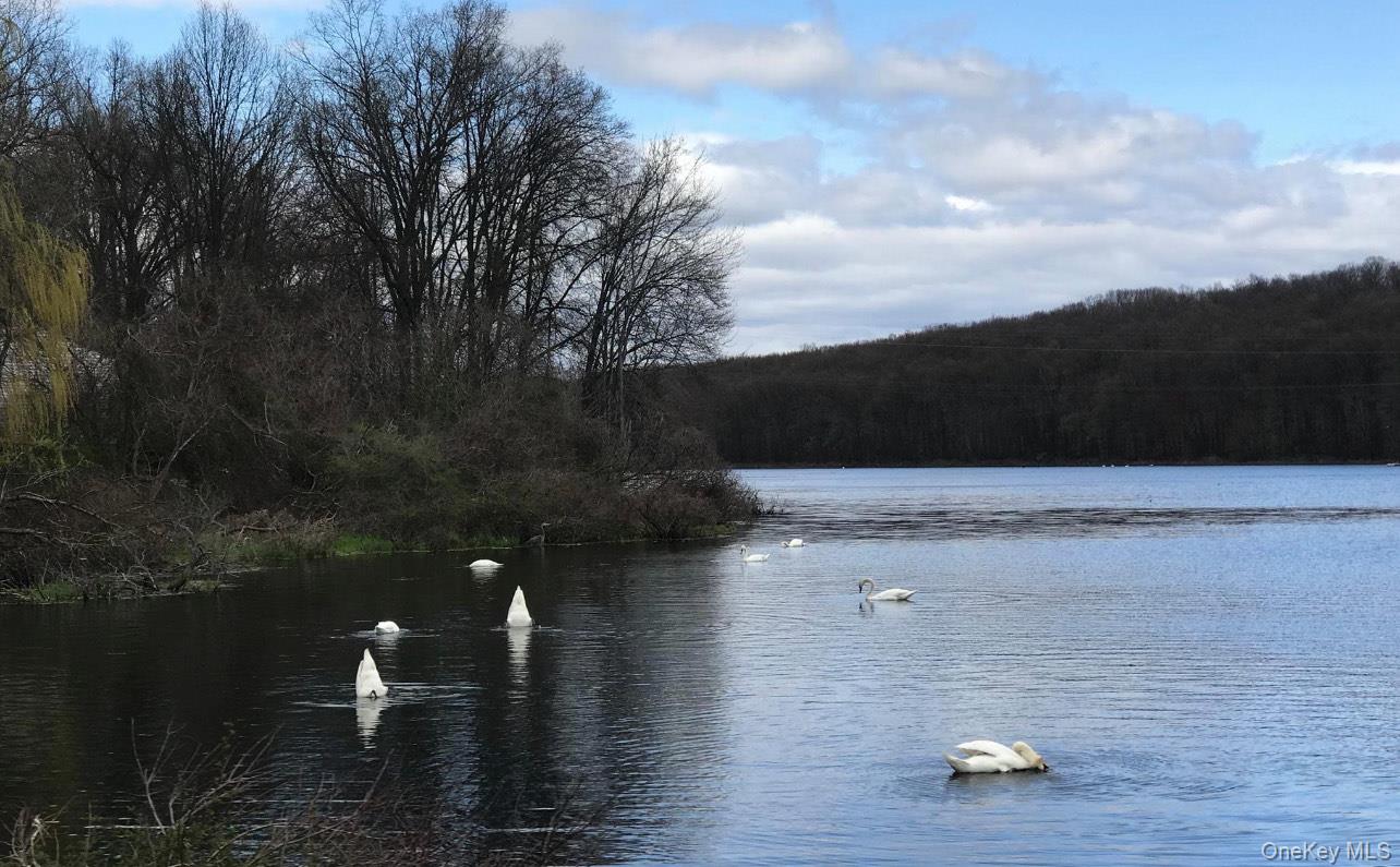 23 Swan Holw Road New Windsor, NY 12553 - Photo 33 of 34 View of lake from backyard in Spring.