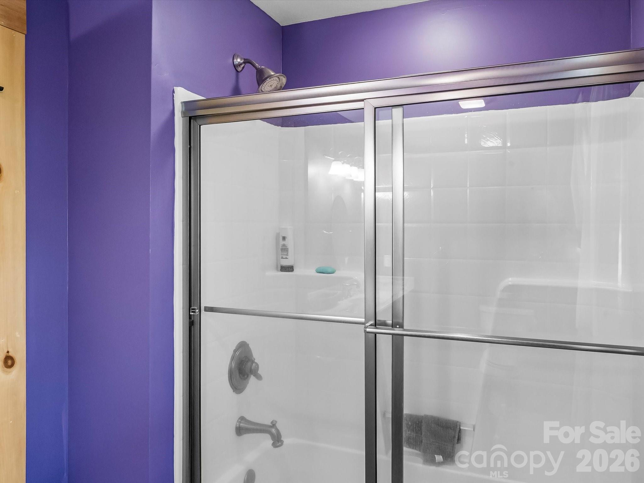 917 Otter Mountain Road Topton, NC 28781 - Photo 38 of 48 a bathroom with a glass shower door