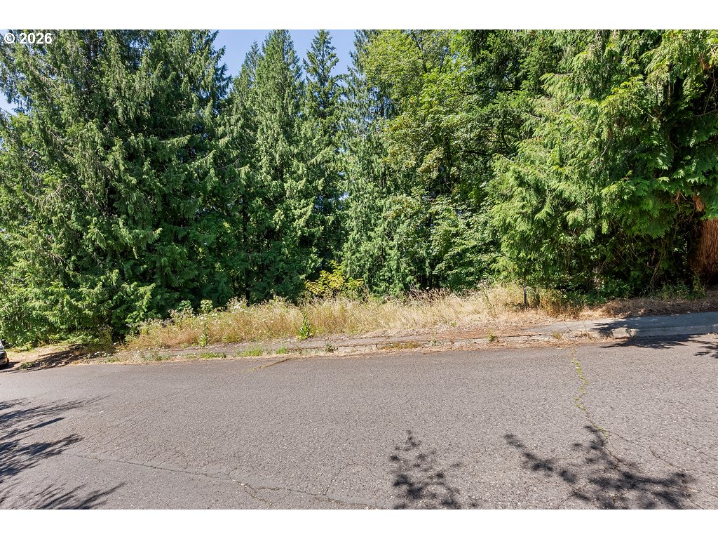 0 Southeast Duke Street Portland, OR 97236 - Photo 9 of 17 Gallery Image 9