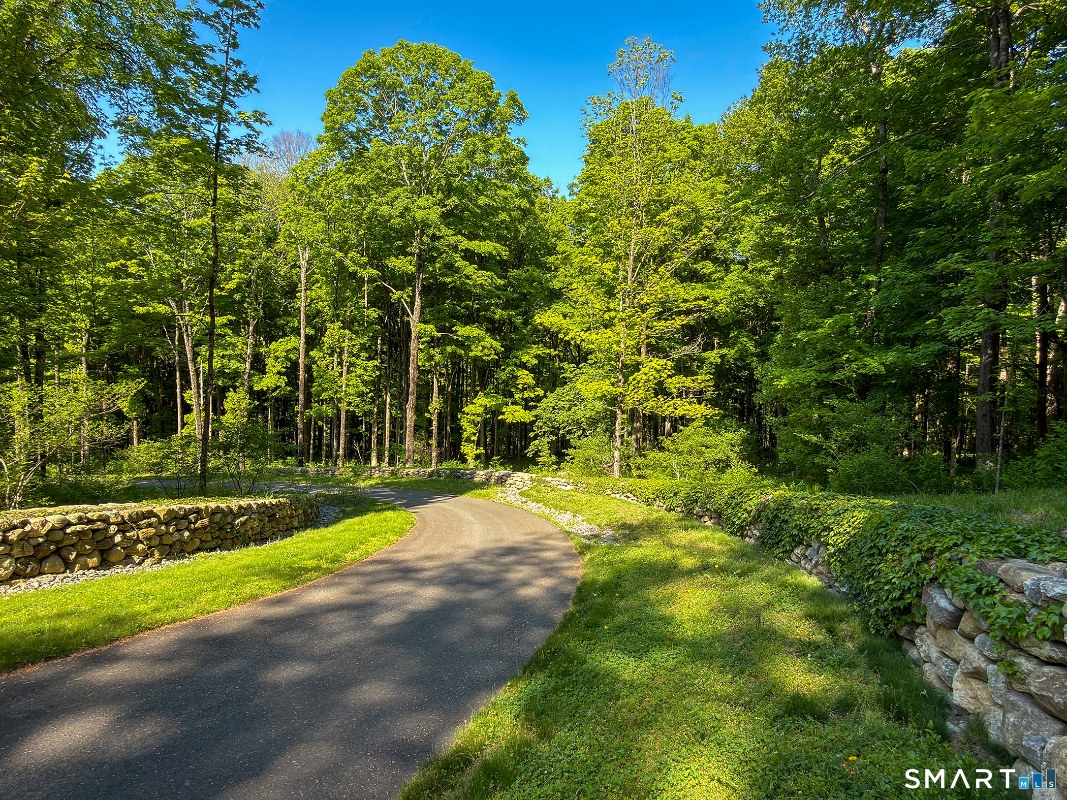 20 Painter Hill Road Roxbury, CT 06783 - Photo 5 of 18 a view of a yard with plants and large trees