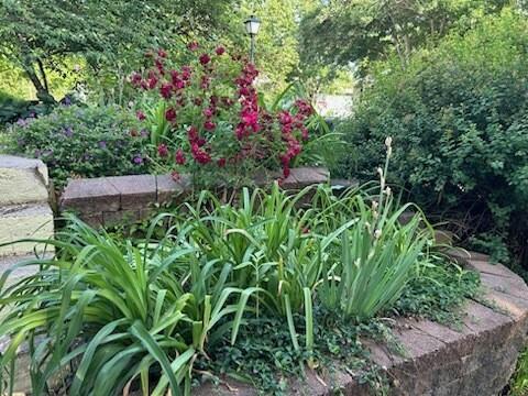 210 East 14th Street Cameron, MO 64429 - Photo 26 of 29