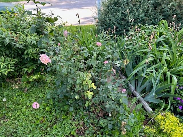 210 East 14th Street Cameron, MO 64429 - Photo 28 of 29