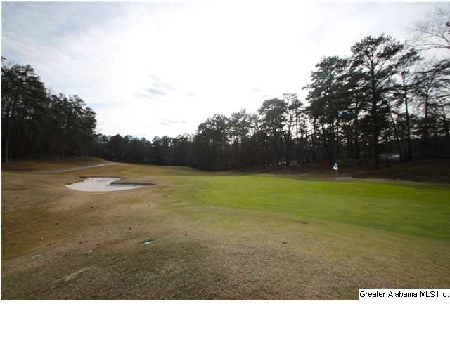 2036 Shagbark Road Birmingham, AL 35244 - Photo 30 of 32