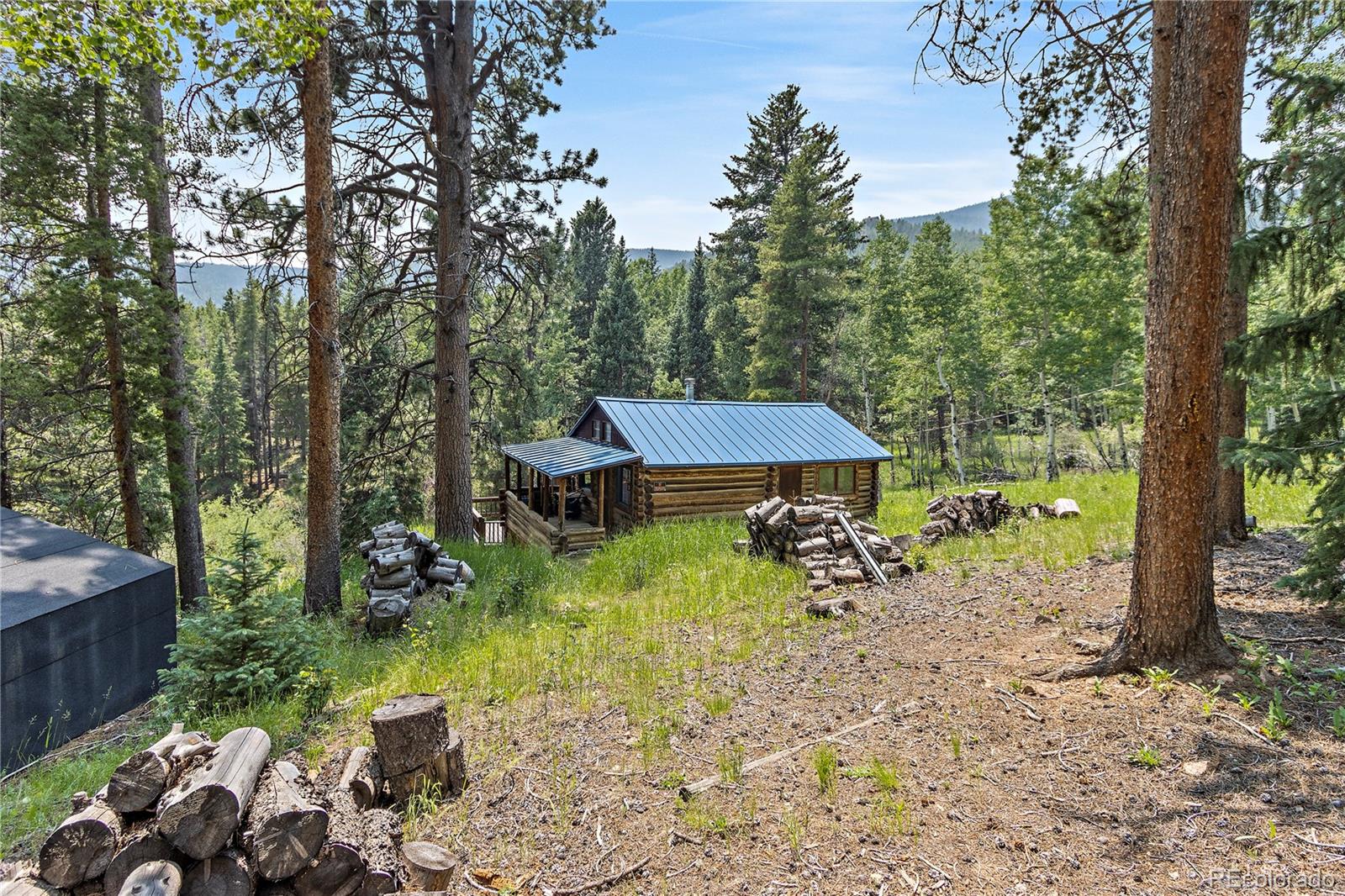 9485 Fara Way Conifer, CO 80433 - Photo 5 of 27 Gallery Image 5