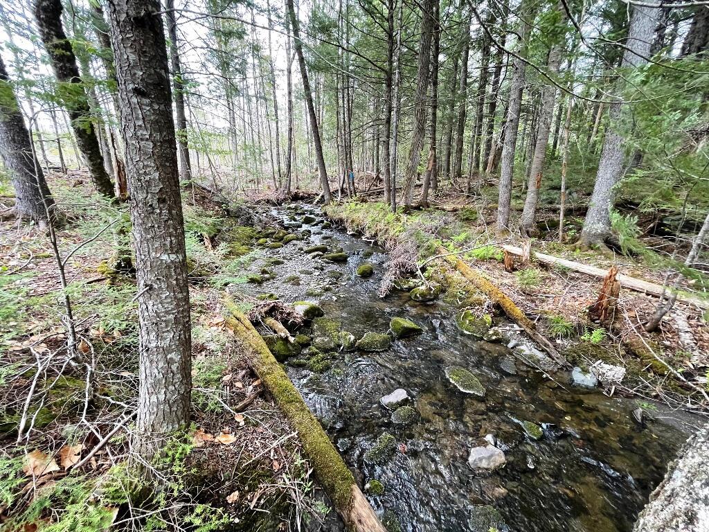 Lot #7 Hammond Brook Road Monson, ME 04464 - Photo 14 of 16