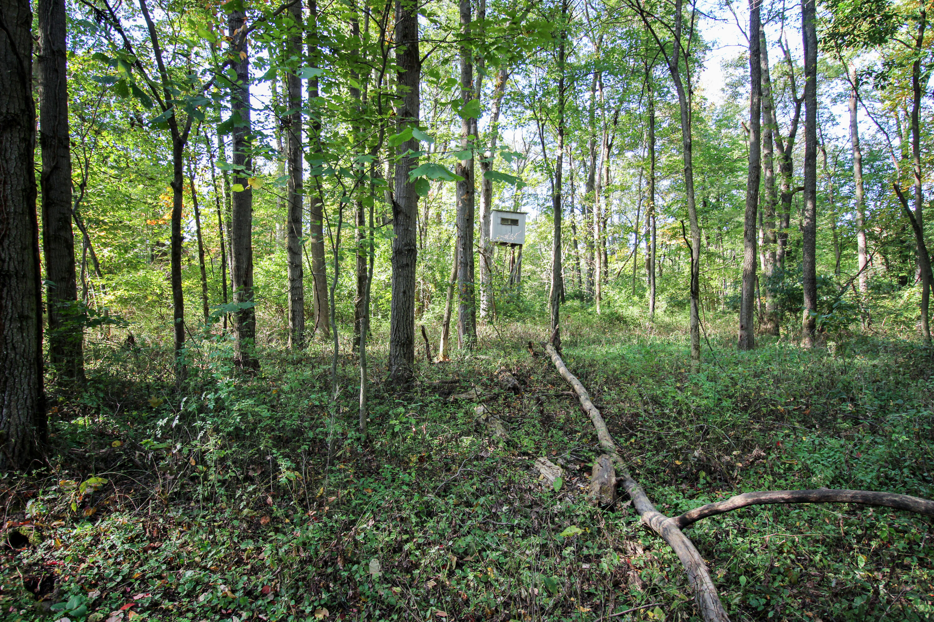 55310 Delong Road Marcellus, MI 49067 - Photo 85 of 97 Delong-083