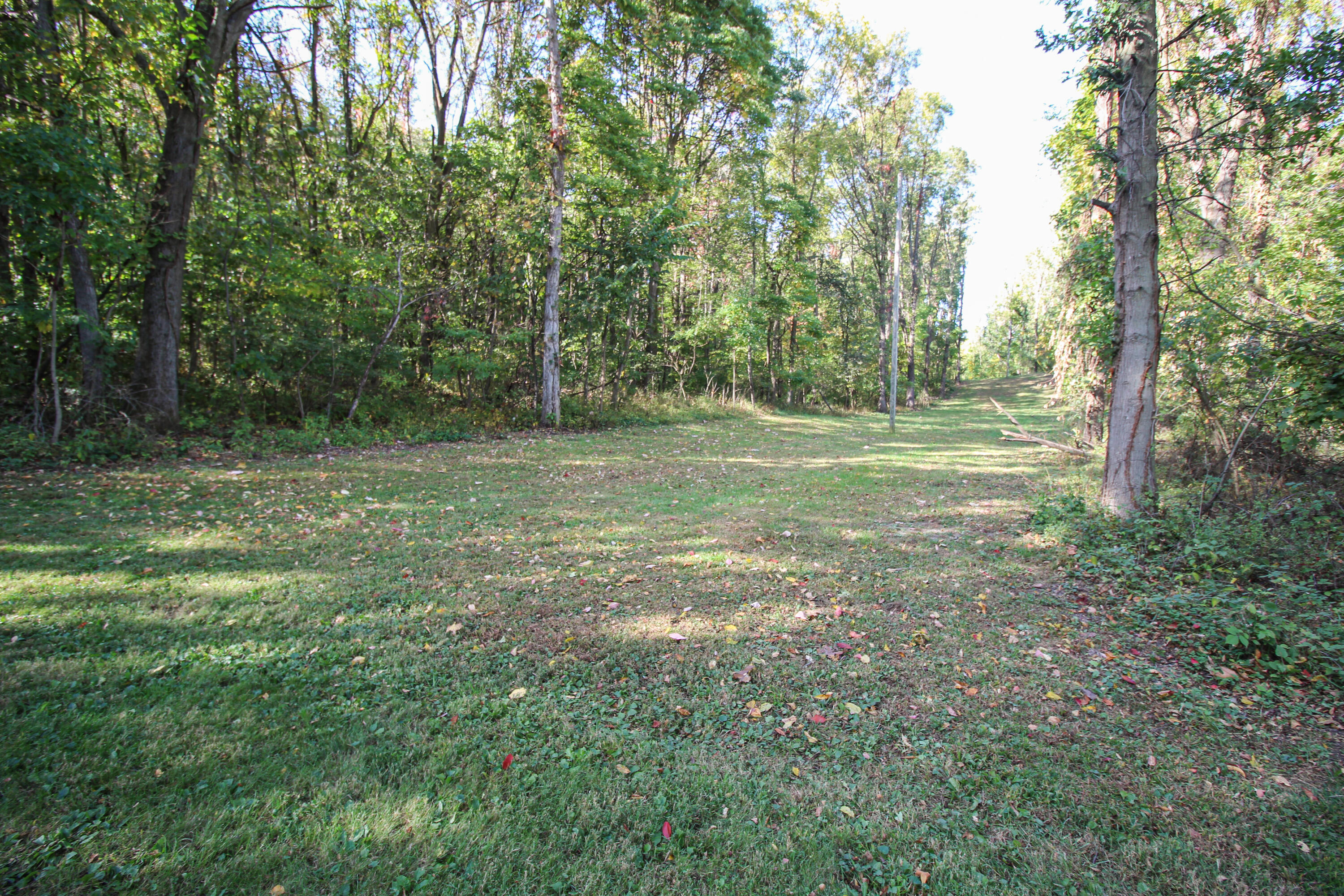 55310 Delong Road Marcellus, MI 49067 - Photo 87 of 97 Delong-100