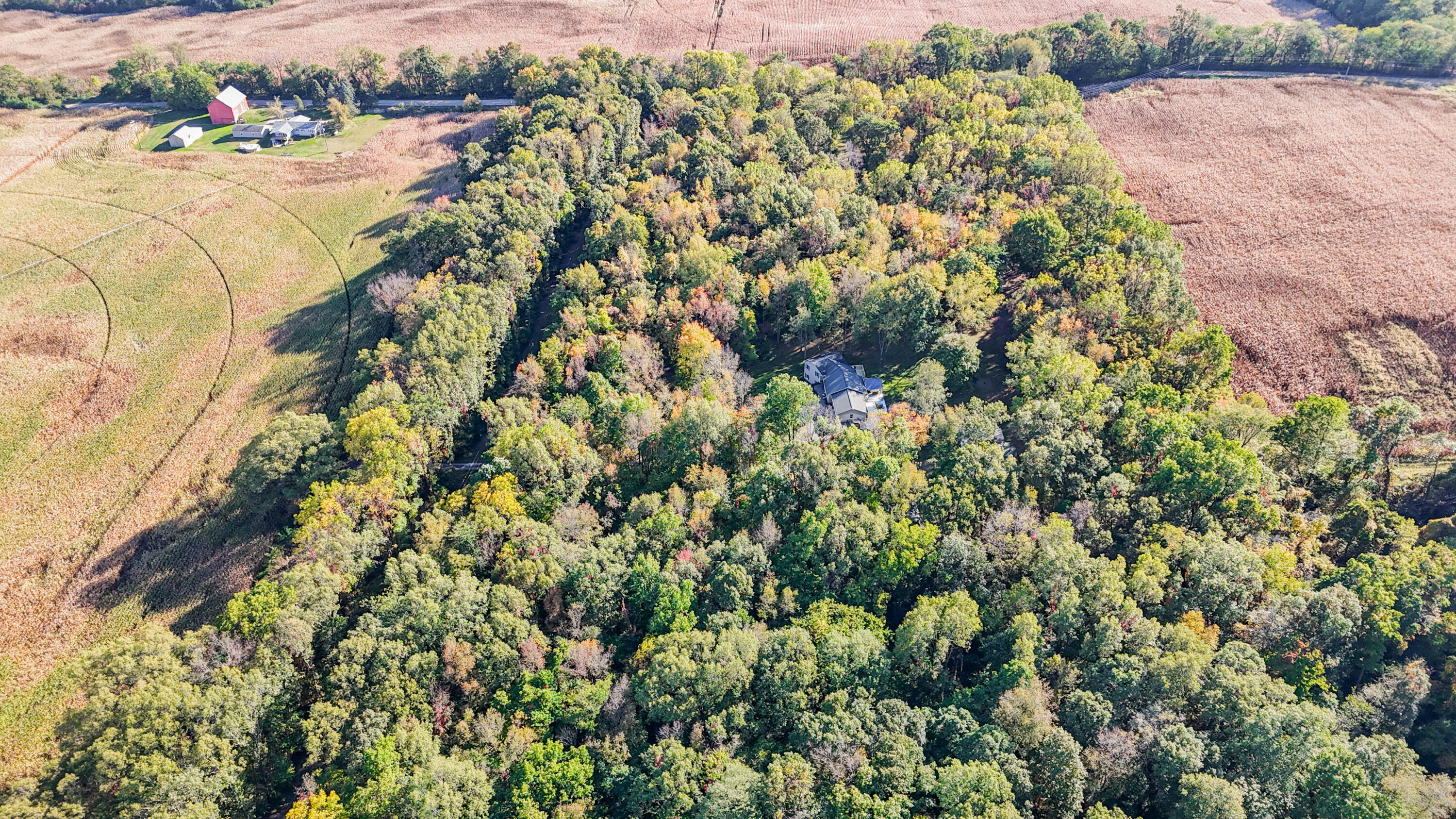 55310 Delong Road Marcellus, MI 49067 - Photo 91 of 97 Delong Drone-38