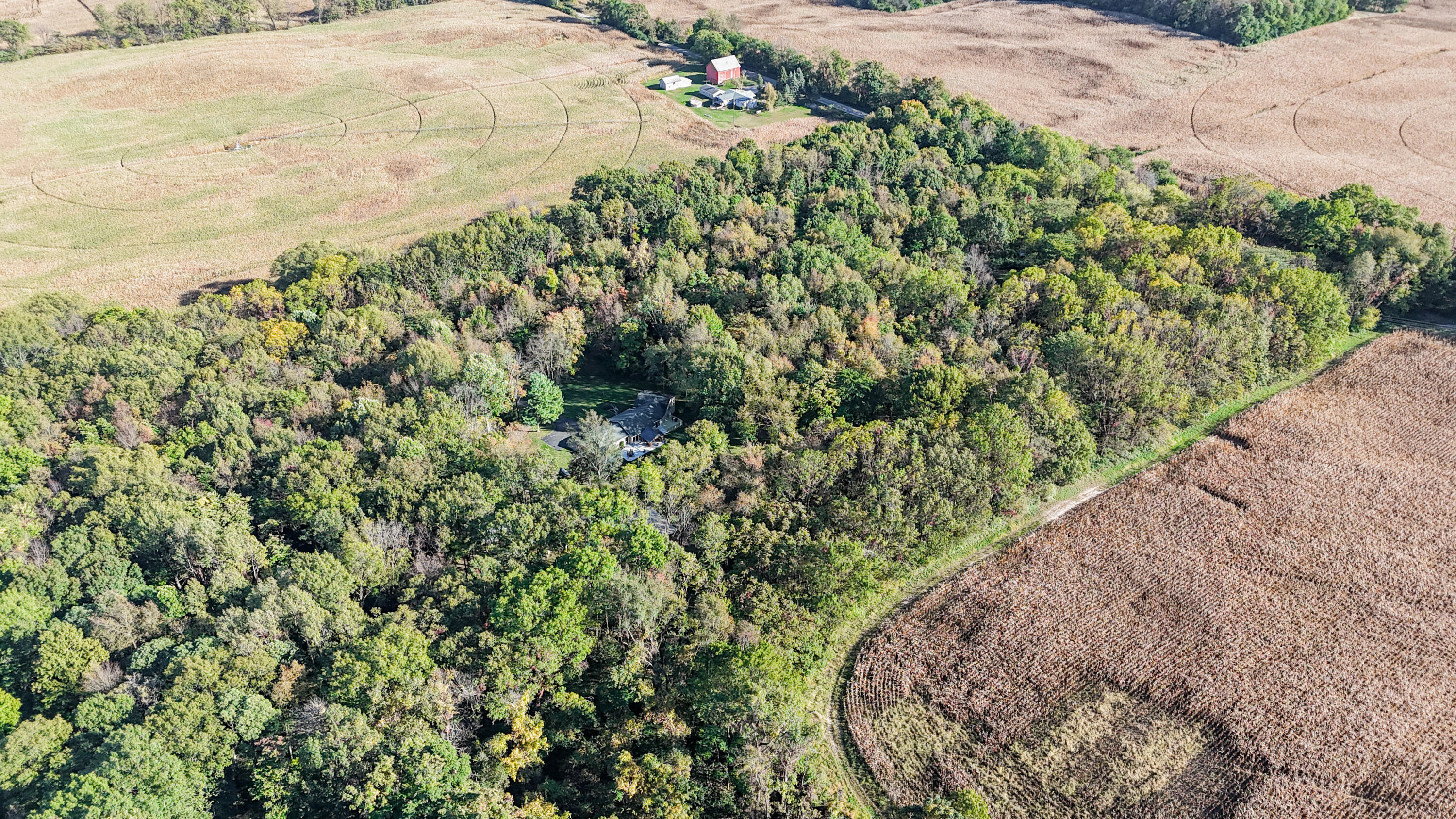 55310 Delong Road Marcellus, MI 49067 - Photo 92 of 97 Delong Drone-39